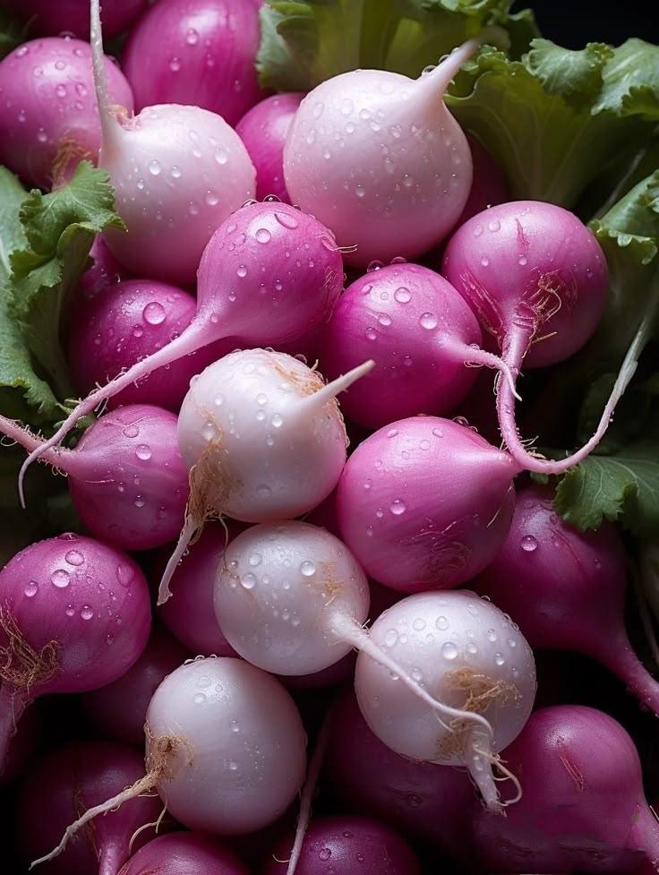 Garden's Bounty: Fresh-Picked Veggie Medley